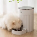 intelligent automatic pet feeder